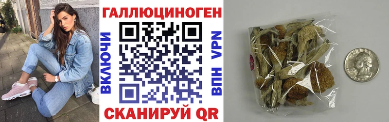 что такое наркотик  Ярцево  Галлюциногенные грибы MAGIC MUSHROOMS 