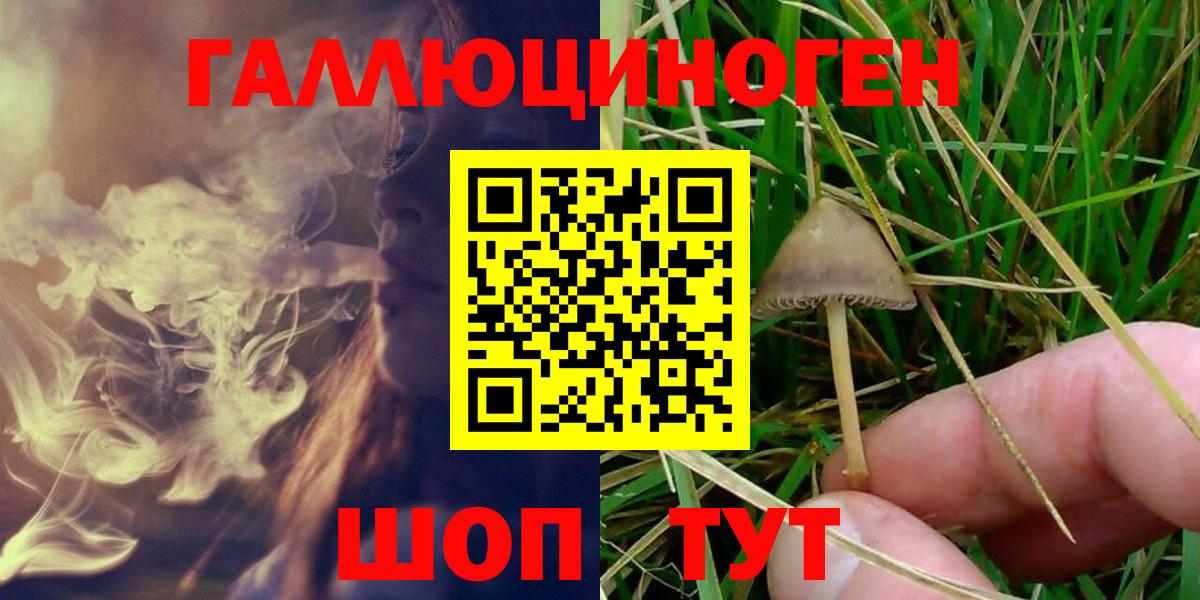Галлюциногенные грибы мухоморы  Вход с VPN  Псилоцибиновые грибы GOLDEN TEACHER  Ярцево 